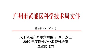 奔跑、跳跃我不停歇，凯发k8天生赢家一触即发入选瞪羚培育企业！